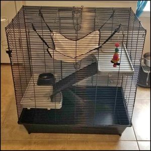 Small animals cage